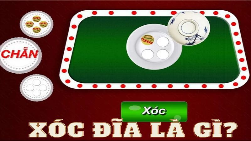 Quyền và trách nhiệm của các quan chức cấp độ 1 Lucky88 - Lucky88