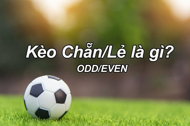 Những điều cần lưu ý khi đăng nhập vào Re88 và đăng ký chơi game đá gà người thật SVV388 - Re88