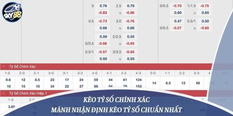 Mobi66 và các dịch vụ cơ bản - Mobi66