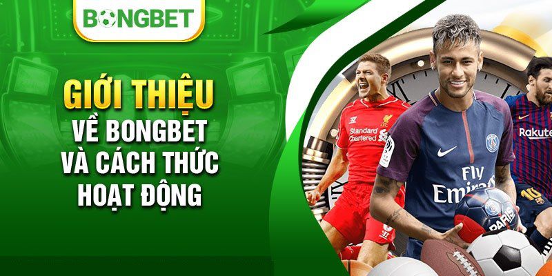 Lý do người chơi chọn D9bet - D9bet
