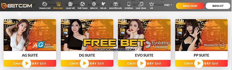 Hướng dẫn cá cược bóng đá cấp độ Fun222 - Fun222