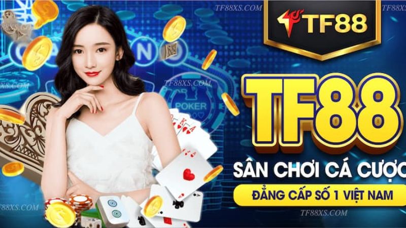 Liên kết chính thức cuối cùng cho Vin77 2026 - Vin77