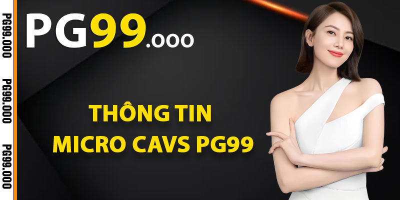 Công ty Stake Games sở hữu nguồn lực tài chính dồi dào - Stake
