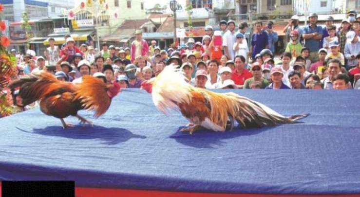 Các hoạt động quảng bá mới nhất của Abcvip trong năm 2026 - Abcvip