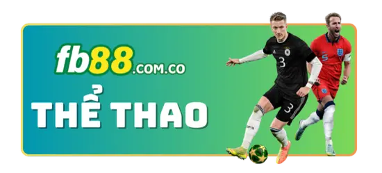 Đấu gà trực tuyến Fun88 HD - Fun88