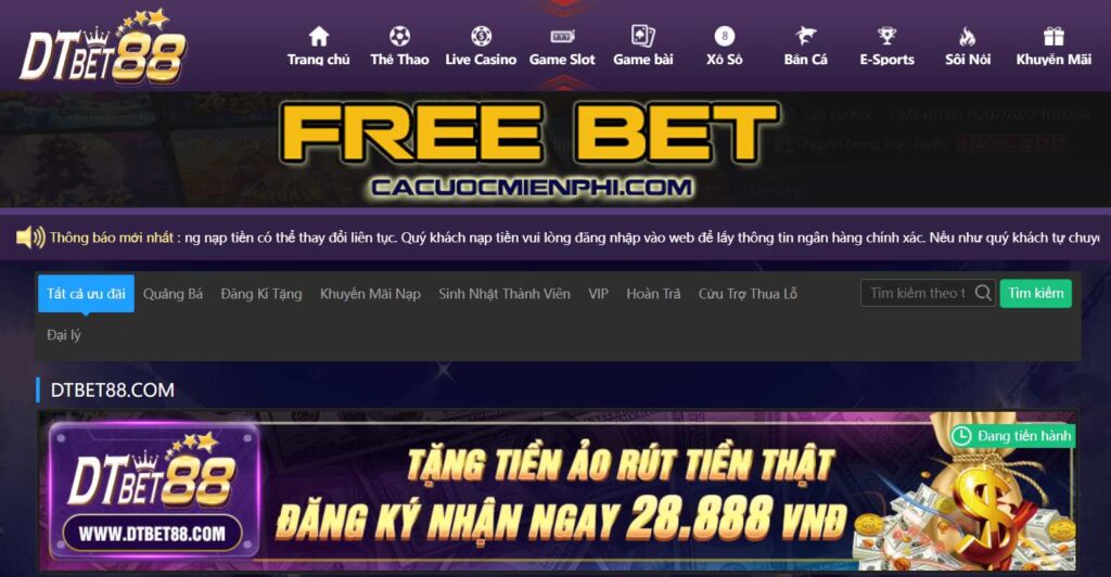 Lời khuyên dành cho người chơi cấp độ Dafabet - Dafabet
