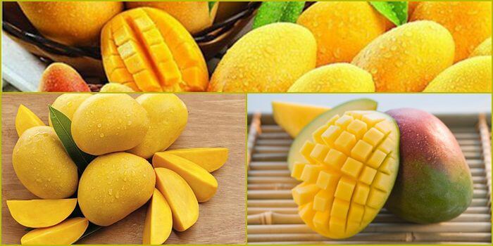 Trải nghiệm cá cược chẵn/lẻ tại Daga88! - Daga88