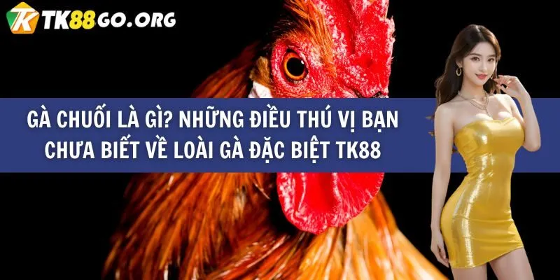 Tải ứng dụng Ke68 và trải nghiệm niềm vui độc đáo - Ke68